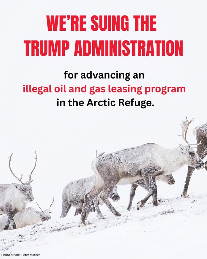 Gwich'in Steering Committee