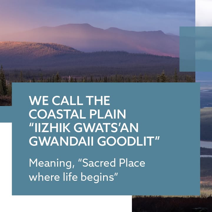 Gwich'in Steering Committee